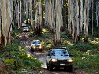 2014-Crossing the Rubicon trip-(Photo by john Nazloomian)